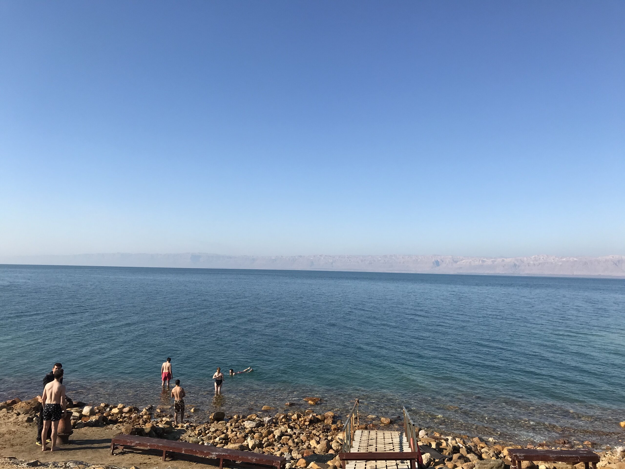 Saltus_Travel_2021